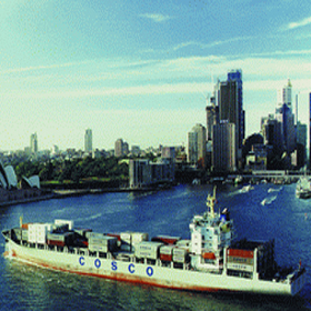 内贸集装箱运输 连接国内水运网络的高效物流解决方案